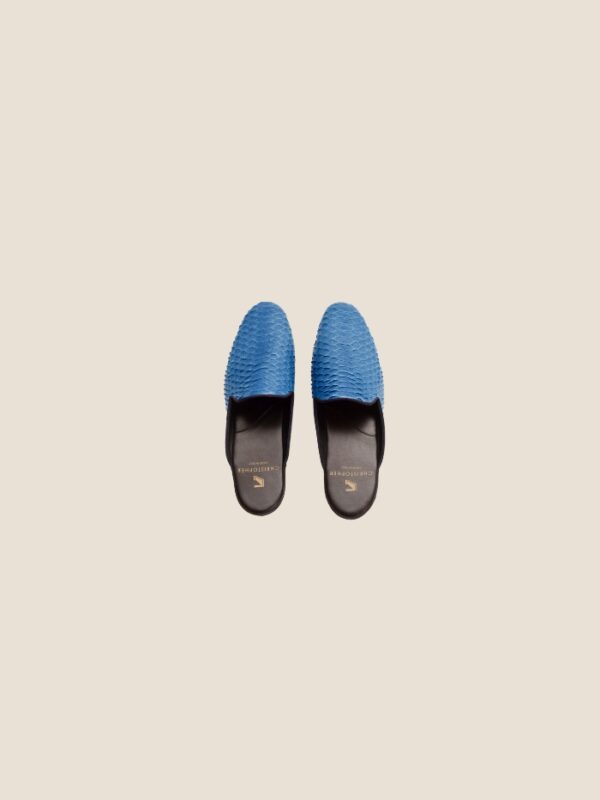 Python Slipper