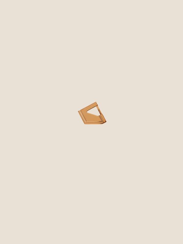 C Element Buckle Gold